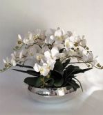 Vaso com orquídeas silicone