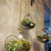 TERRÁRIO DE VIDRO GROSSO 5mm